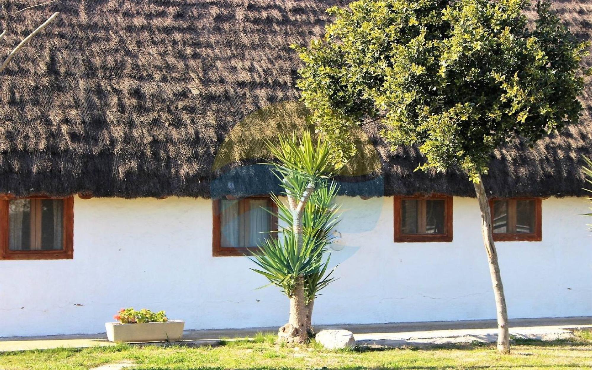 Barraca Tipica Del Delta, Con Piscina, Jardin Y Barbacoa - Deltavacaciones Villa Sant Jaume d'Enveja Ngoại thất bức ảnh